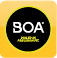 boa-fit-system