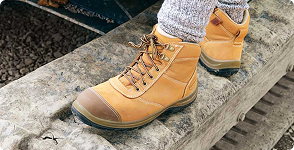 Catalogue